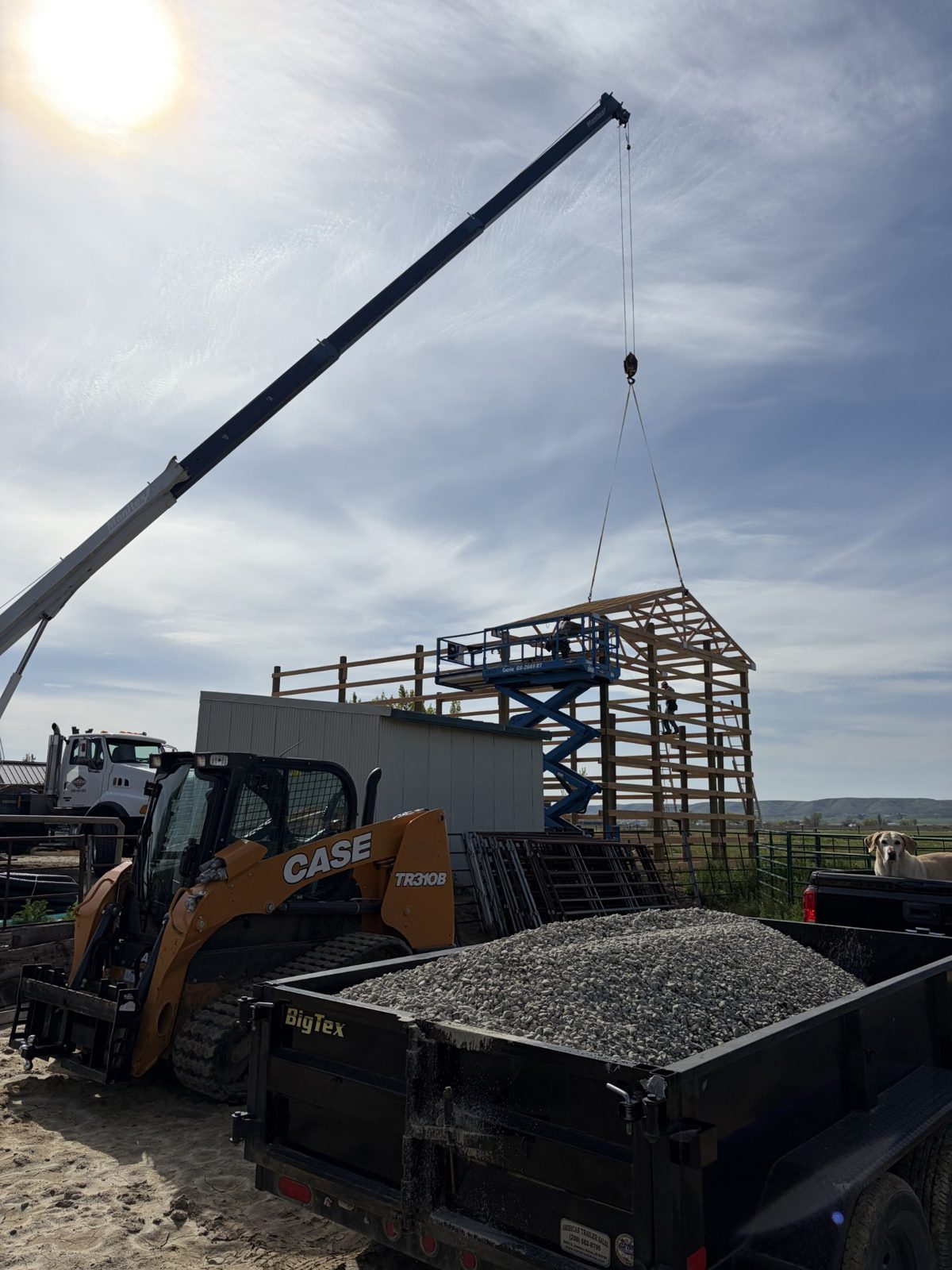 A crane lifting roof trusses onto the new hay barn frame