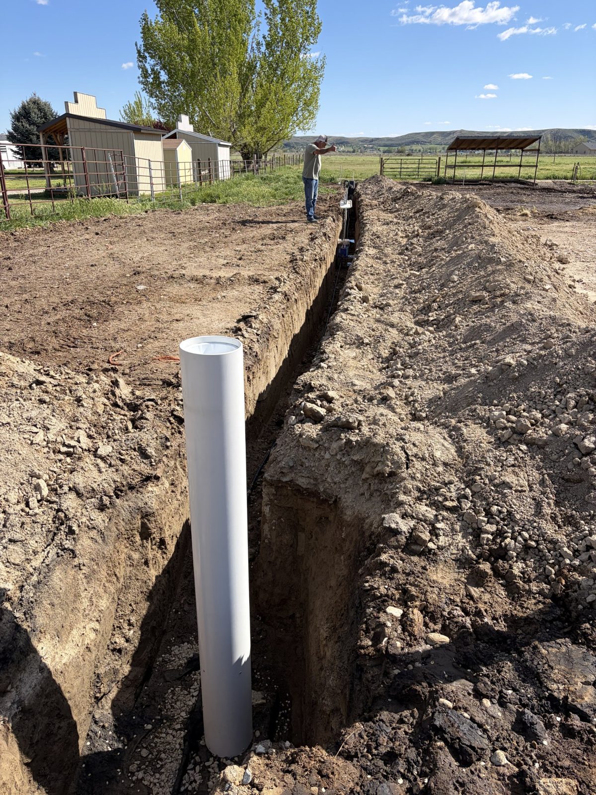 An automatic waterer set in the trench