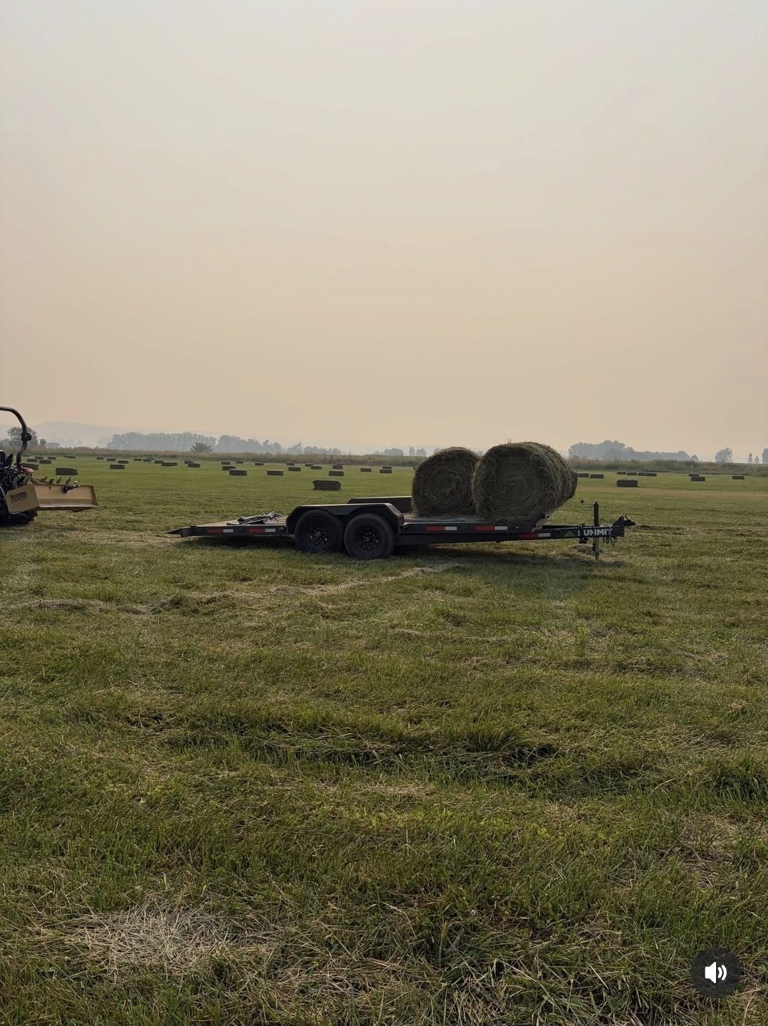 Round hay bales on a flatbed trailer in a cut hay field