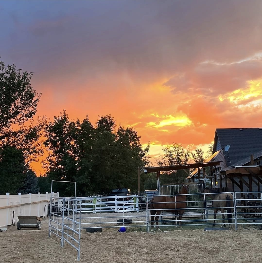 Horses in the corral at Green Pastures under an orange sunset